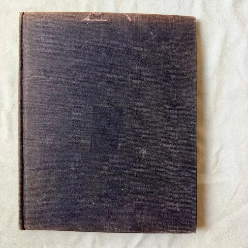 VTG 1966 Oriental Brushwork by Wang Chi-Yuan Art Book Water-Ink Painting Artist